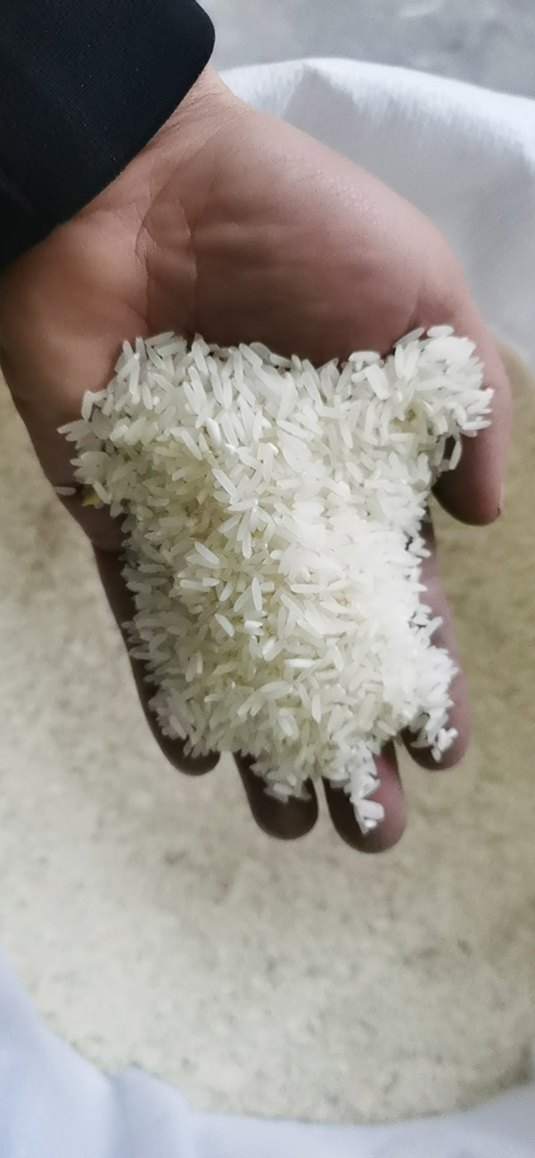 大型碾米机